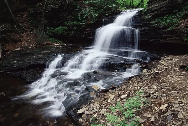 Waterfall, Ricketts Glen State Park