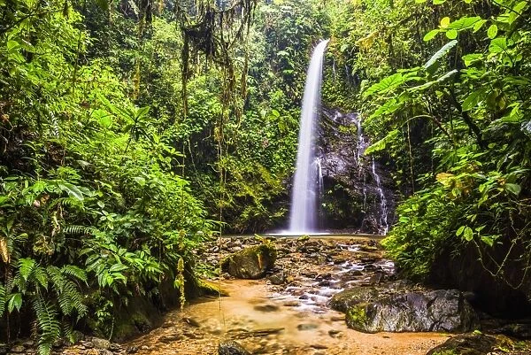 Waterfall San Vincente in an area of jungle called Mashpi Cloud Forest in the Choco Rainforest