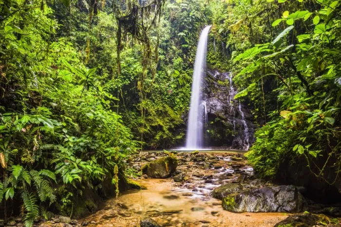 Framed Print : Waterfall San Vincente in an area of jungle called Mashpi Cloud Forest in the Choco Rainforest Framed Print : Waterfall San Vincente in an area of jungle called Mashpi Cloud Forest in the Choco Rainforest
