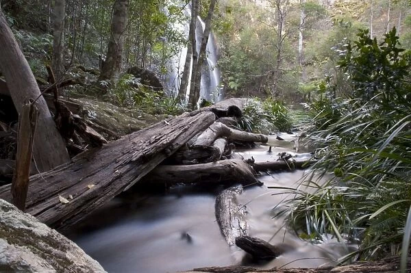 Waterfall and stream in the rainforest, New England National Park, Armidale