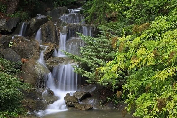 Waterfall, VanDusen Gardens, Vancouver, British Columbia, Canada, North America