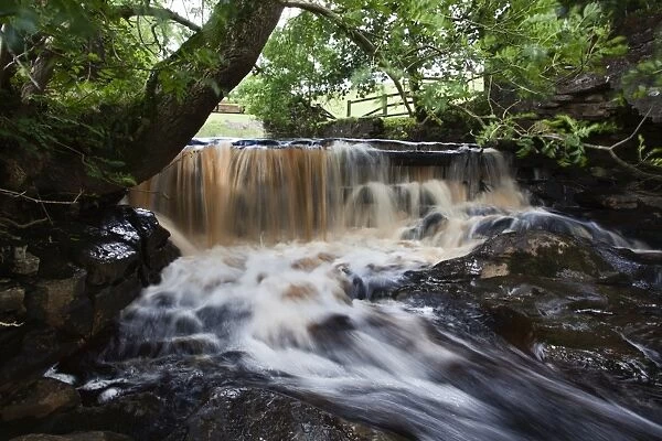 Waterfall in Whitfield Gill near Askrigg, Wensleydale, North Yorkshire, Yorkshire, England, United Kingdom, Europe