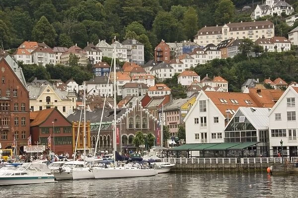 Part of the waterfront at Torgen and the houses above, Bergen, Norway, Scandinavia