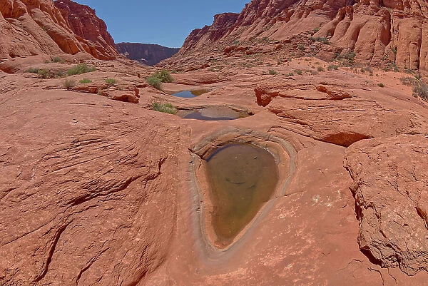Waterholes in Ferry Swale Canyon near Page, Arizona, United States of America, North America