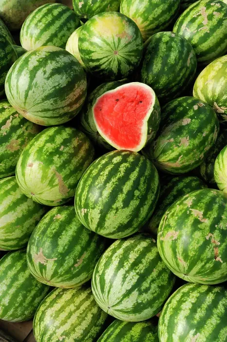 Framed Print : Watermelon display for sale on the roadside, Republic of Panama, Central America Framed Print : Watermelon display for sale on the roadside, Republic of Panama, Central America