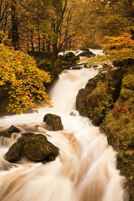 Framed Print : The waters of Dob Gill in the Lake District in full flow after heavy autumn rainfall, Lake District, Cumbria, England, United Kingdom, Europe Framed Print : The waters of Dob Gill in the Lake District in full flow after heavy autumn rainfall, Lake District, Cumbria, England, United Kingdom, Europe