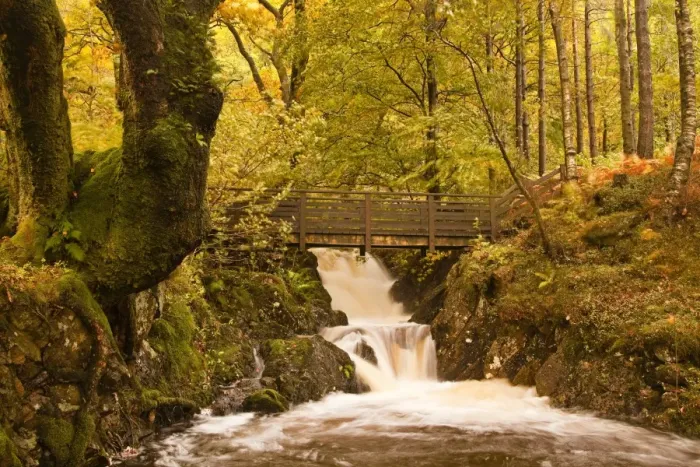 Framed Print : The waters of Launchy Gill in the Lake District in full flow after heavy autumn rainfall, Lake District, Cumbria, Englanbd, United Kingdom, Europe Framed Print : The waters of Launchy Gill in the Lake District in full flow after heavy autumn rainfall, Lake District, Cumbria, Englanbd, United Kingdom, Europe