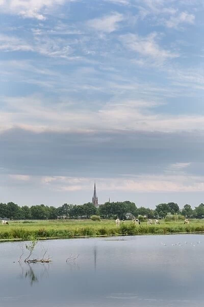Still waters of the River Mark with Ulvenhout church in the distance, Breda, North Brabant, The Netherlands (Holland), Europe