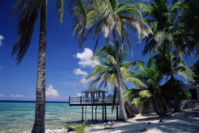 Framed Print : Waterside restaurant beneath palms, Old Man Bay, Grand Cayman, Cayman Islands Framed Print : Waterside restaurant beneath palms, Old Man Bay, Grand Cayman, Cayman Islands