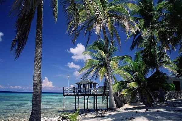 Waterside restaurant beneath palms, Old Man Bay, Grand Cayman, Cayman Islands