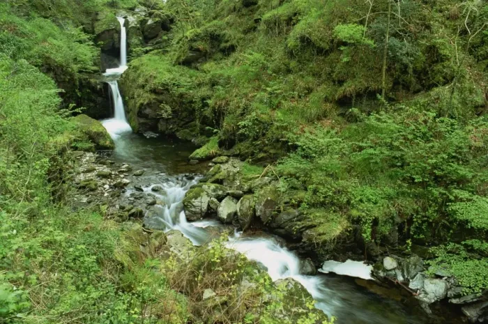 Framed Print : Watersmeet, Exmoor National Park, Devon, England, United Kingdom, Europe Framed Print : Watersmeet, Exmoor National Park, Devon, England, United Kingdom, Europe