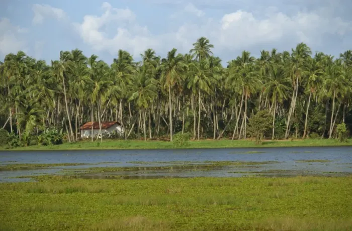 Framed Print : Waterway and house among palm trees near Negombo Framed Print : Waterway and house among palm trees near Negombo