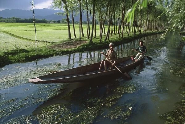 Waterways and paddy fields, Kashmir, India, Asia