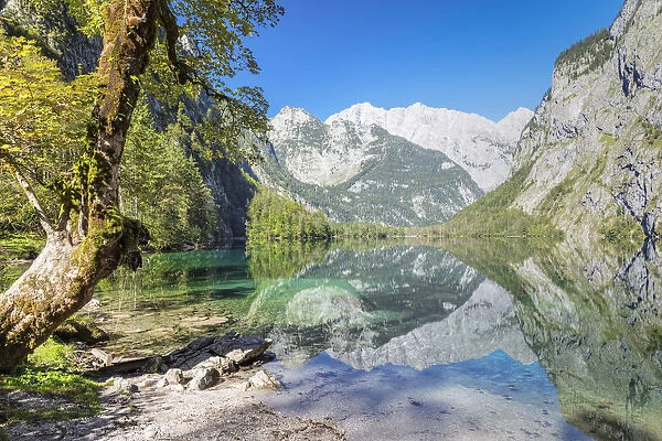 Watzmann Mountain reflecting in Lake Obersee, near lake Koenigssee, Berchtesgadener Land