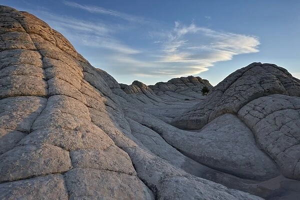 Waves of Brain Rock, White Pocket, Vermilion Cliffs National Monument, Arizona, United