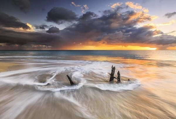 The waves and caribbean sunset frames tree trunks on Ffryes Beach, Antigua, Antigua and Barbuda