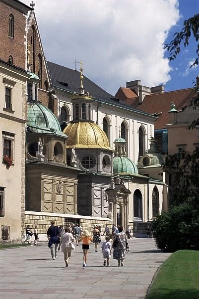 Wawel cathedral and castle