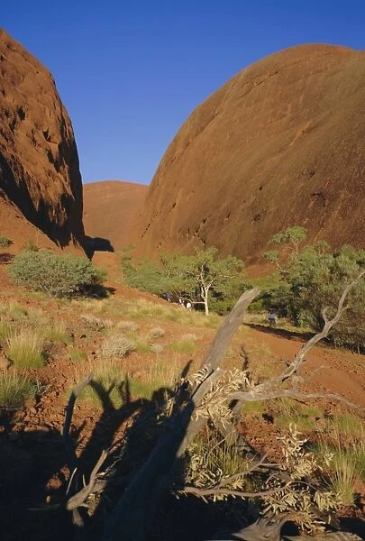 Weathered rock formations, the Olgas, near Ayers Rock, Northern Territory, Australia