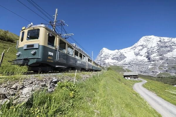 The Wengernalpbahn rack railway runs across meadows and snowy peaks, Wengen, Bernese Oberland