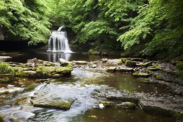 West Burton Waterfall in summer, Wensleydale, Yorkshire Dales, Yorkshire, England, United Kingdom, Europe