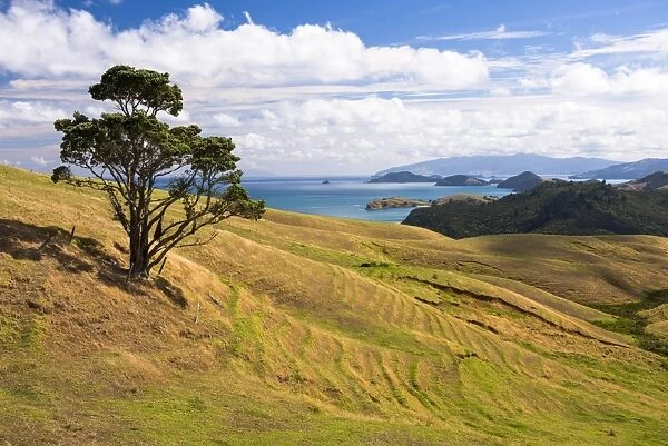 West Coast of Coromandel Peninsula, North Island, New Zealand, Pacific