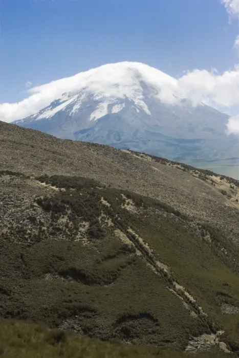 Framed Print : The west flank of 6310m Volcan Chimborazo, with its unique type of Andean high paramo