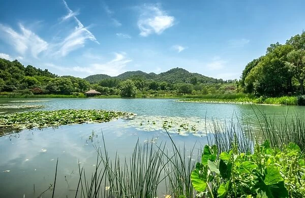 West Lake landscape with green hills, lake and blue sky, Hangzhou, Zhejiang, China, Asia