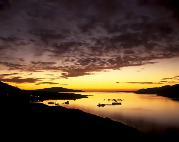 Framed Print : West Loch Tarbert at sunset Framed Print : West Loch Tarbert at sunset