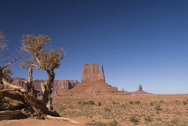 West Mitten Butte, Monument Valley Navajo Tribal Park, Arizona, United States of America