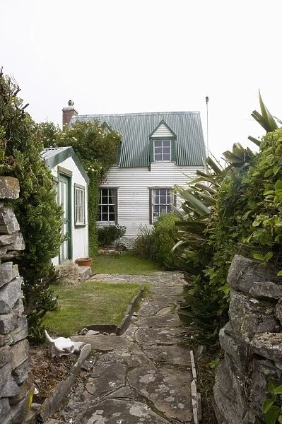 West Point Island, Falkland Islands, South America