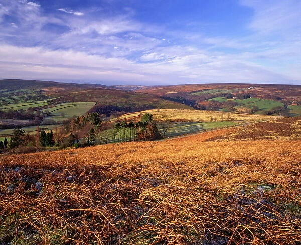 Westerdale from Castleton Rigg, North York Moors National Park, North Yorkshire, England