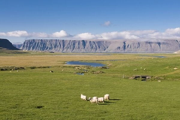 Westfjord scenery, Iceland, Polar Regions