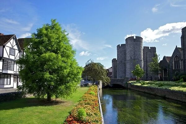Westgate medieval gatehouse and gardens, with bridge over the River Stour, Canterbury, Kent, England, United Kingdom, Europe