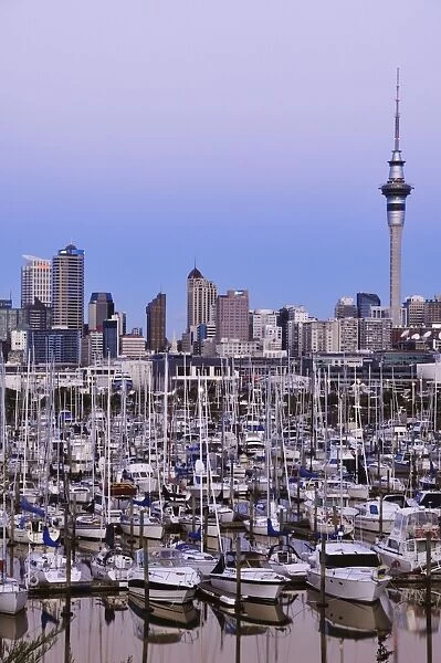 Westhaven, Waitemata Harbour, Auckland, North Island, New Zealand, Pacific