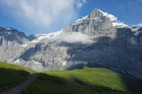 Wetterhorn 3692m, Jungfrau-Aletsch, UNESCO World Heritage Site, Swiss Alps, Switzerland, Europe