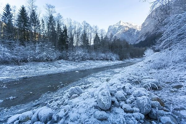 The Wetterhorn and frosted river, Grindelwald village, Jungfrau region, Bernese Oberland