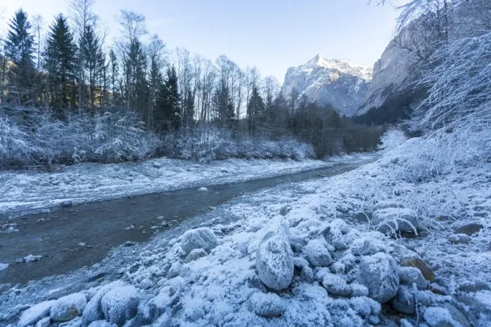 Framed Print : The Wetterhorn and frosted river, Grindelwald village, Jungfrau region, Bernese Oberland Framed Print : The Wetterhorn and frosted river, Grindelwald village, Jungfrau region, Bernese Oberland