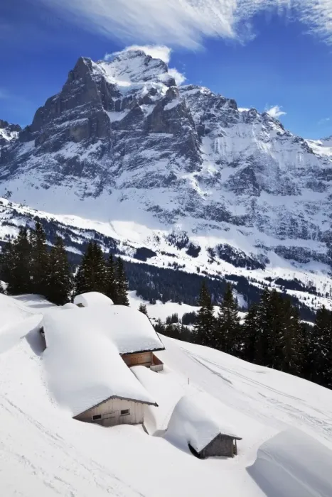 Framed Print : Wetterhorn mountain, 3692m, Grindelwald, Jungfrau region, Bernese Oberland Framed Print : Wetterhorn mountain, 3692m, Grindelwald, Jungfrau region, Bernese Oberland