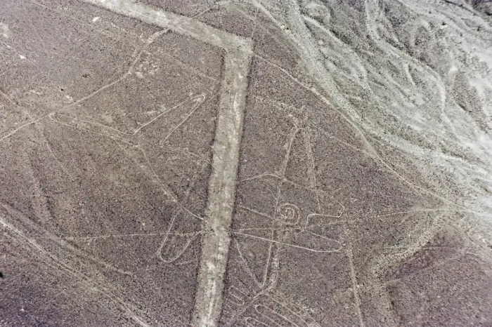 Framed Print : Whale, Lines and Geoglyphs of Nasca, UNESCO World Heritage Site, Peru, South America Framed Print : Whale, Lines and Geoglyphs of Nasca, UNESCO World Heritage Site, Peru, South America