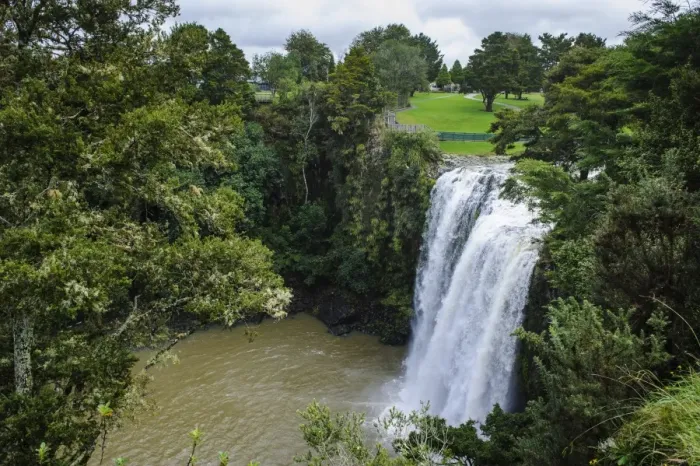 Framed Print : Whangarai Falls, North Island, New Zealand, Pacific Framed Print : Whangarai Falls, North Island, New Zealand, Pacific