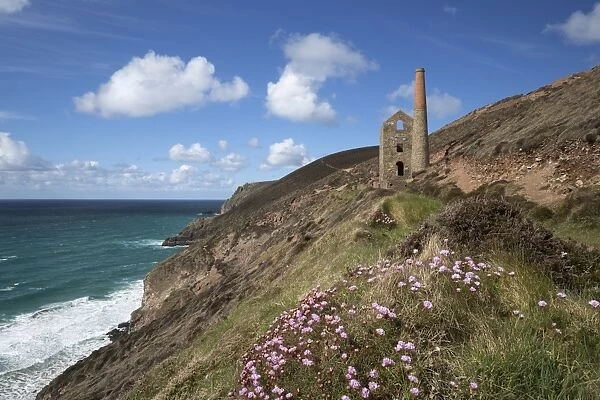 Wheal Coates Engine House, UNESCO World Heritage Site, and coastline with thrift flowers, St