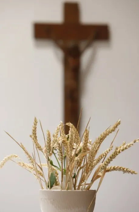 Framed Print : Wheat in Saint-Hugues church, Pontcharra, Isere, France, Europe Framed Print : Wheat in Saint-Hugues church, Pontcharra, Isere, France, Europe