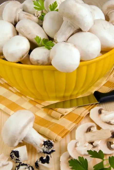 Framed Print : White button mushrooms (Agaricus bisporus), Champignon, Italy, Europe Framed Print : White button mushrooms (Agaricus bisporus), Champignon, Italy, Europe