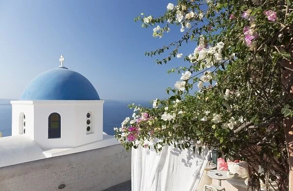 White church with blue dome and flowers, Oia, Santorini, Cyclades, Greek Islands