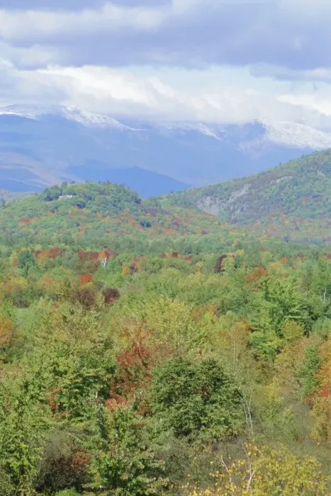 Framed Print : White Mountains National Forest