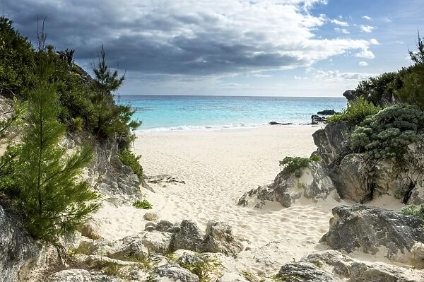White sand beach in Chaplins bay, Bermuda, North America