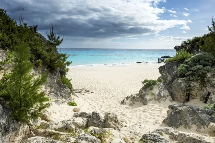 Framed Print : White sand beach in Chaplins bay, Bermuda, North America Framed Print : White sand beach in Chaplins bay, Bermuda, North America