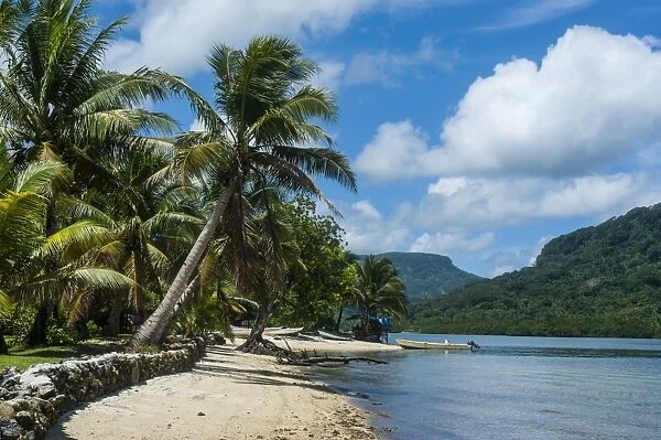 White sand beach with palm trees, Pohnpei (Ponape), Federated States of Micronesia, Caroline Islands, Central Pacific, Pacific