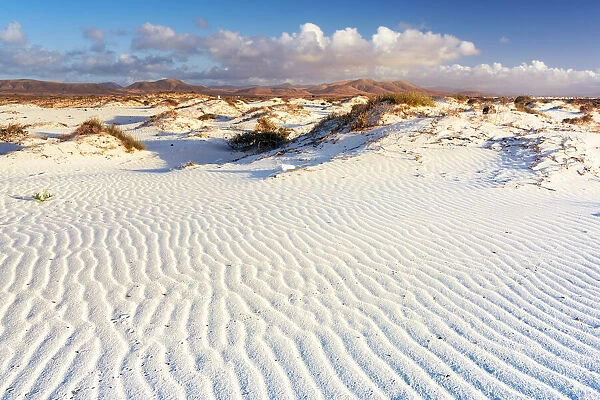 White sand of desert dunes shaped by wind, El Cotillo, La Oliva, Fuerteventura