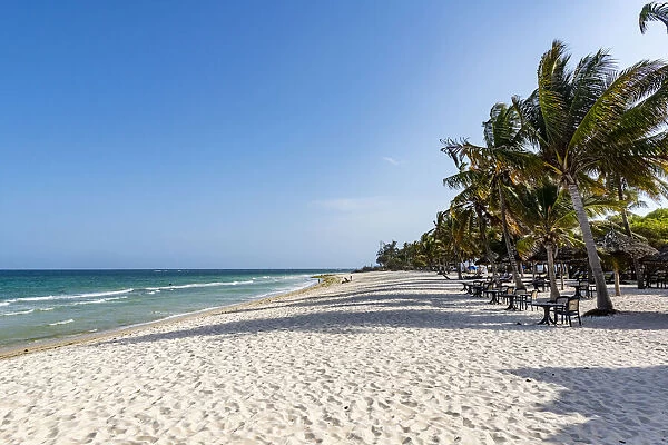White sand of Diani Beach, Kenya, Indian Ocean, East Africa, Africa